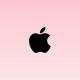 Apple line 🏏