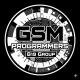 GSM Programmer's Files B19