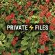 PRIVATE🌹FILES