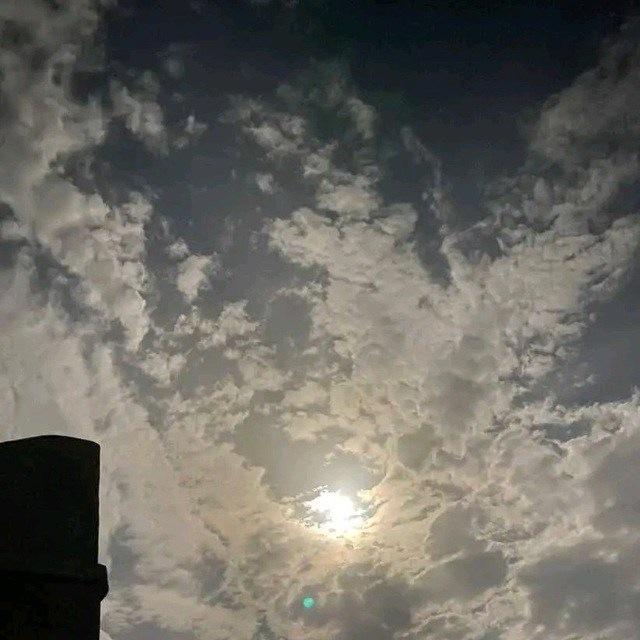 لـ أحمد الشَّيال "أبو النَّضْر"🍁