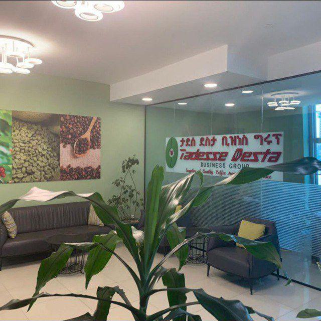 ታደሰ ደሰታ ኣስመጪ ና ላኪ(TDBG)