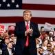 Donald Trump (Q17)