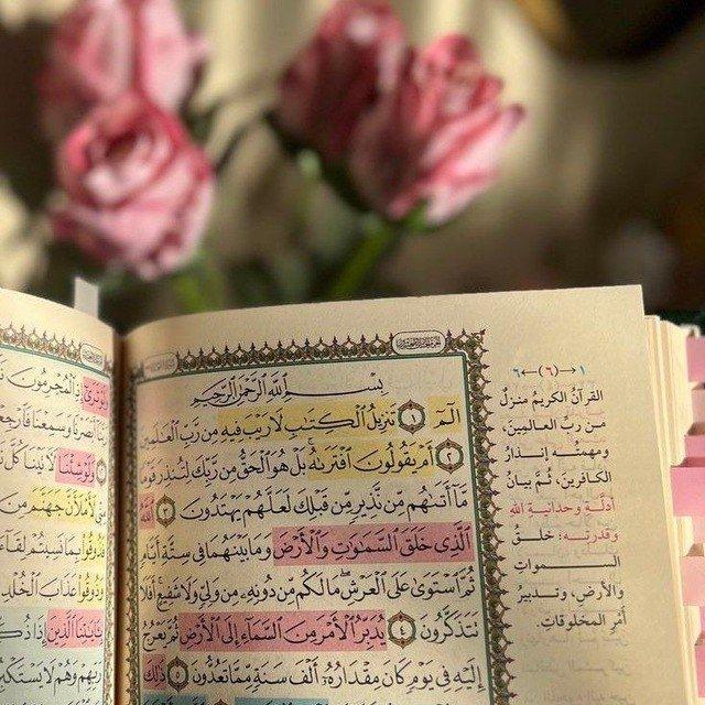 𝐊𝐈𝐍𝐙𝐈 💗.