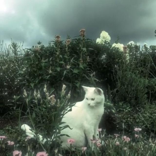 أجـــࢪ