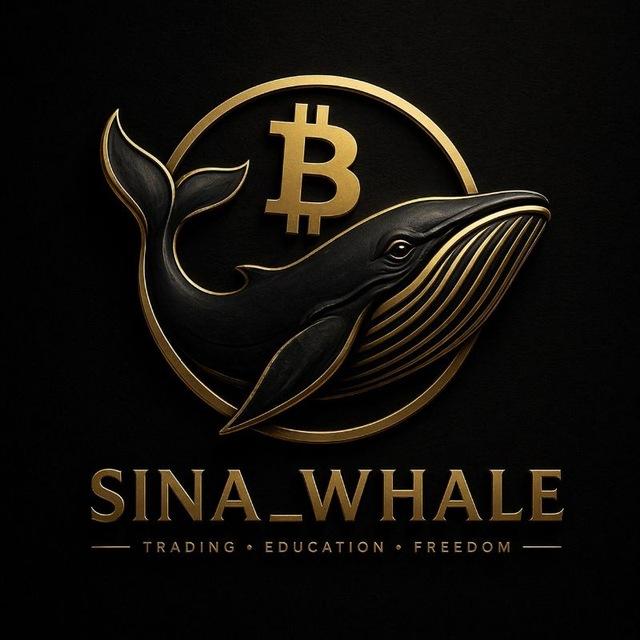 SINA WHALE | SM🩸