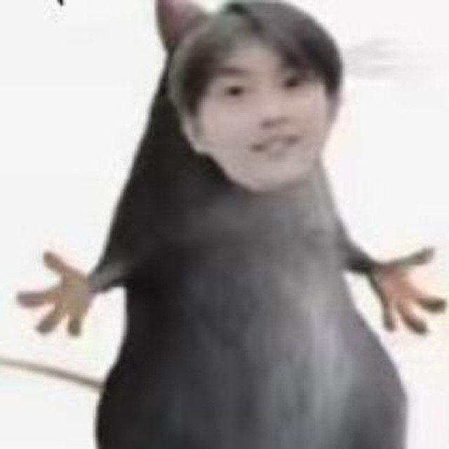 GT驱动发布频道