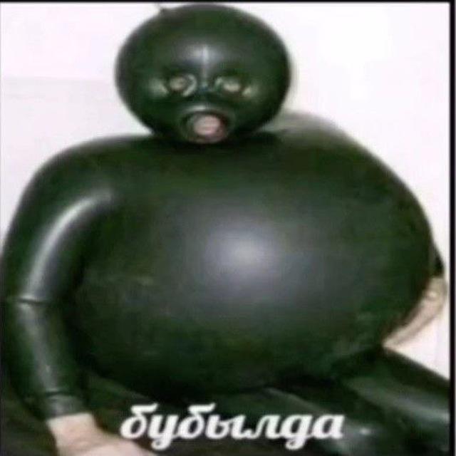 бубылда🐇