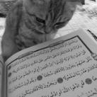 - مَرفأ العَائدين .