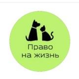 Право на жизнь. Арсеньев