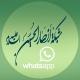 قناة شبكة انصار الحسين (ع)