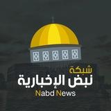 شبكة نبض الإخبارية