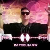 DJ TRIỆU MUZIK (NHẠC LỌT TỔNG HỢP)