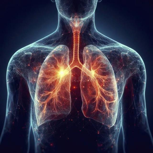 Respiratory system