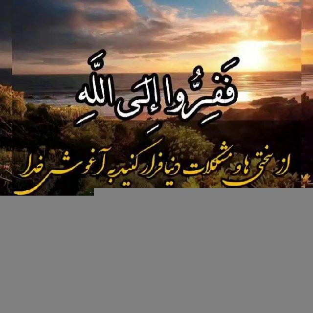 🌼بەرەو بەختەوەری🌼
