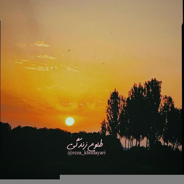 ‌ ‌طلوع زندگی🌻