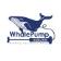 WhalePump Reborn : Best signals! ( 100% Free )