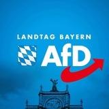 AfD-Fraktion im Bayerischen Landtag