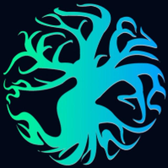 KOTAI | Portal