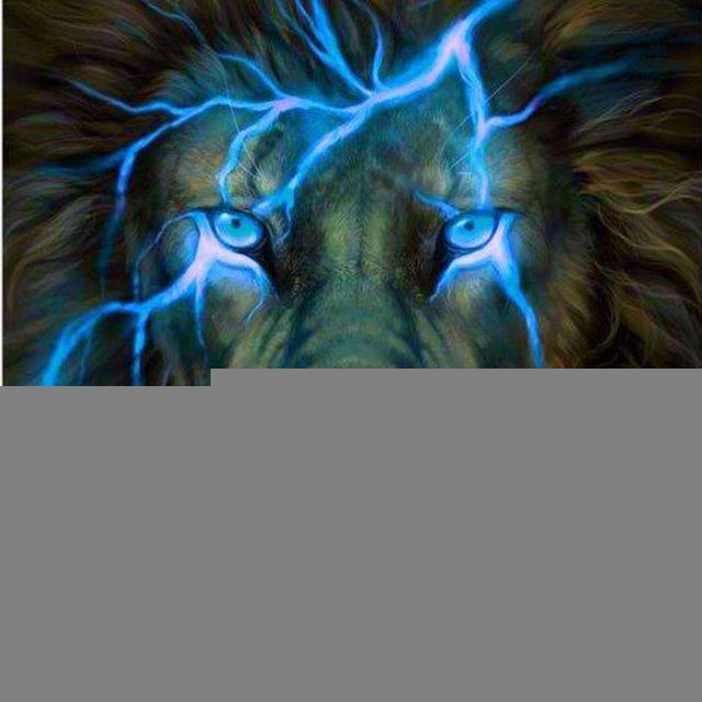 U Lion SCOMMESSE ITALIA