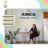 AMICO JAPANESE LANGUAGE ACADEMY [ Tina Cho Sensei ]
