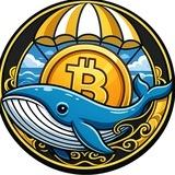 🟢Whale Finance Noticias