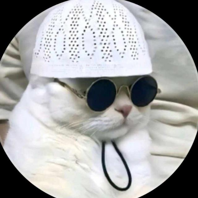 Mundyo Yeh K Teh 5.0 IG HAJJI BILLA 🐺❌
