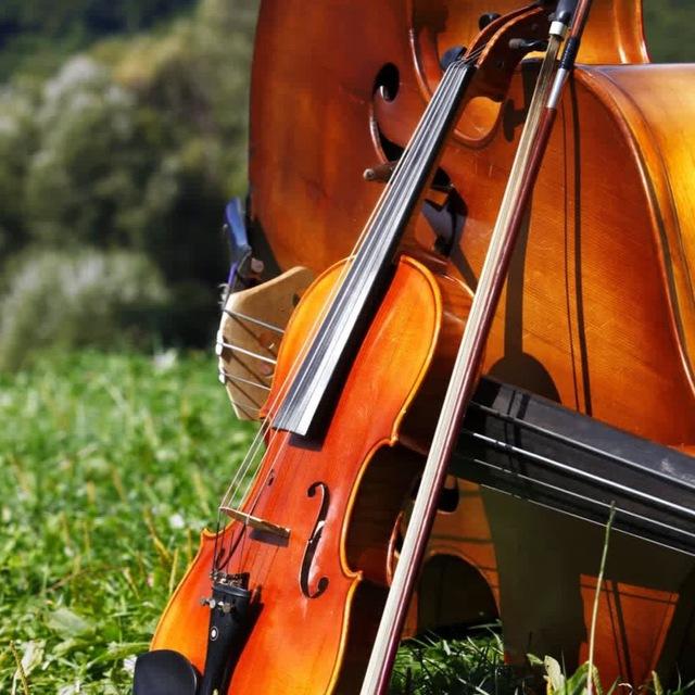 Ноты для специальности по 🎻