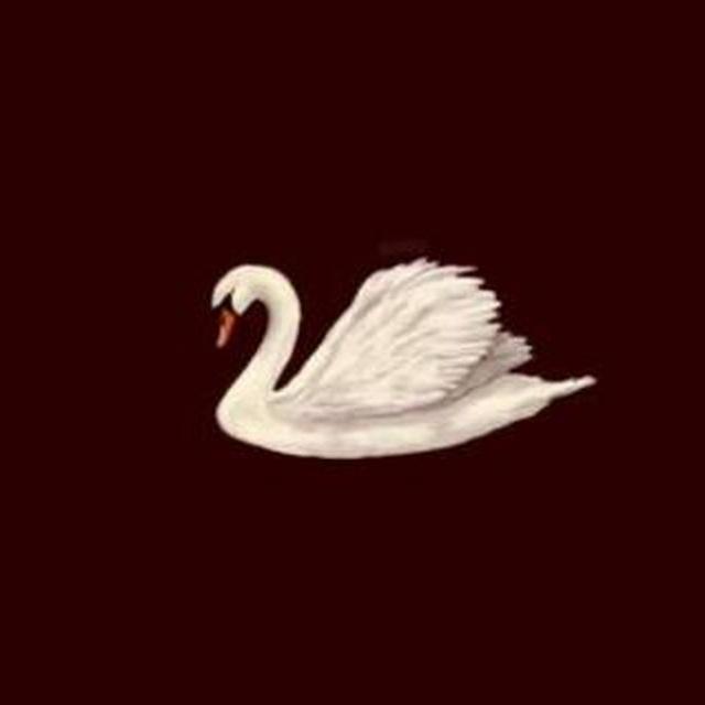 🦢
