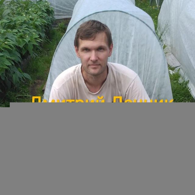 Дмитрий Дачник