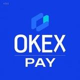 巴基斯坦支付/巴基斯坦支付/印度支付/孟加拉支付