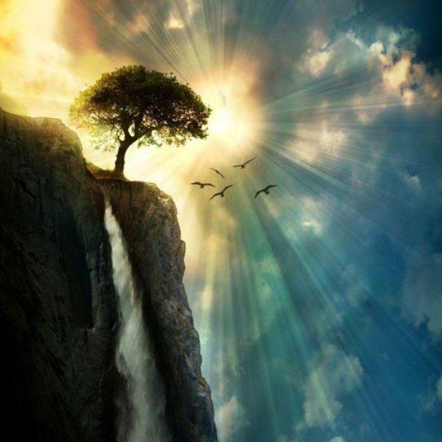 Unbeilevable Nature