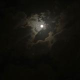 Night