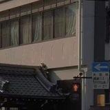 生活情感文案风景频道馆