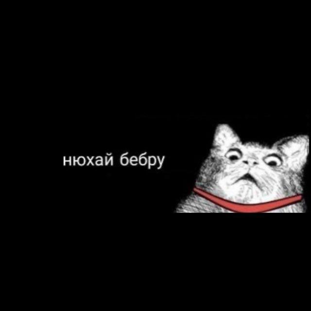 Ваня хватит избегать гостей