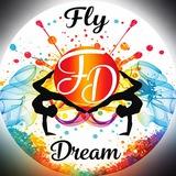 FlyDream_26