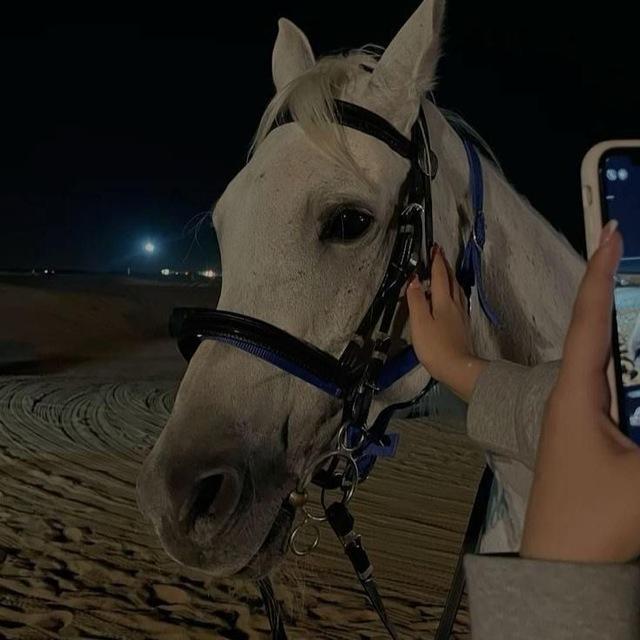 𝐁𝐢𝐠 𝐫𝐞𝐝 𝐟𝐥𝐚𝐠 🚩