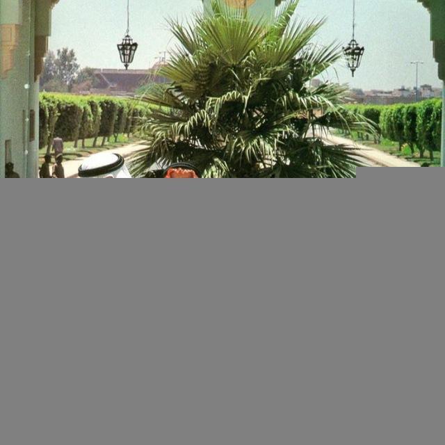 ظِبَاء.