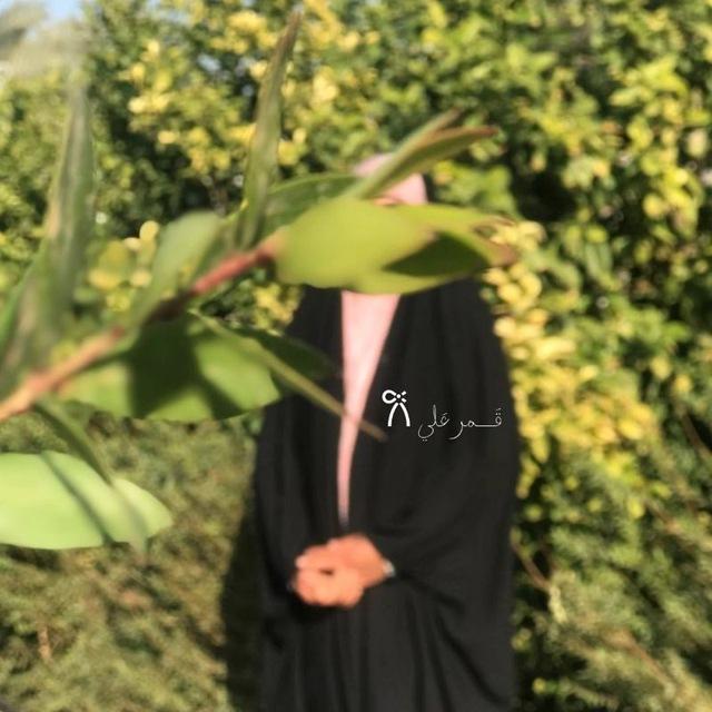 قَـــمر عَلي 𐙚
