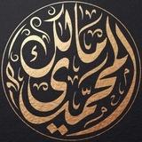 د. مالك المحمدي العلمية