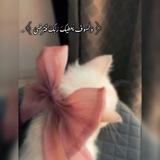 💗﴿ وَلَسَوفَ يُعطيكَ رَبُّكَ فَتَرضىٰ ﴾ 💗