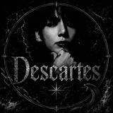 descartes- channel.