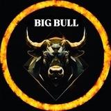 BigBull Calls! 💣