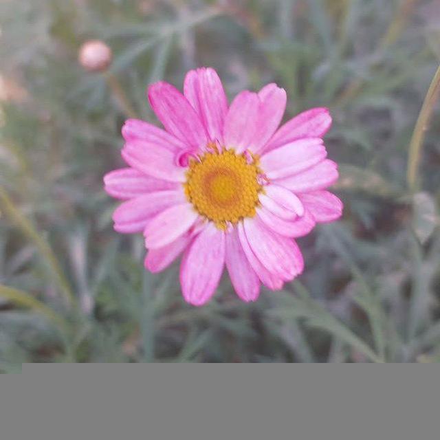 نقطـة غامِضـة .