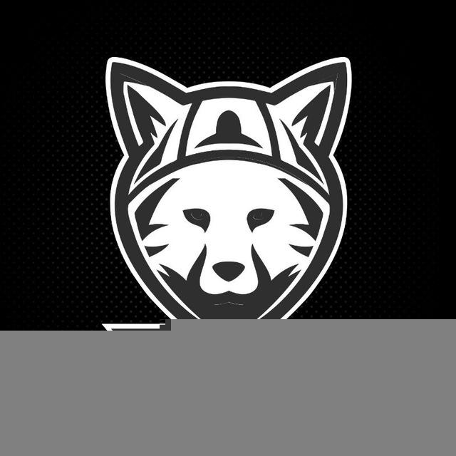 🦊 Песец | Страйкбол | Airsoft| Милитари | Оружие| Партизан 🦊