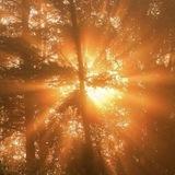 نـور ☀️
