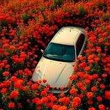🎀BMW🎀