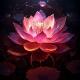 Primrose Lotus