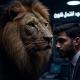 أسود التداول 🦁