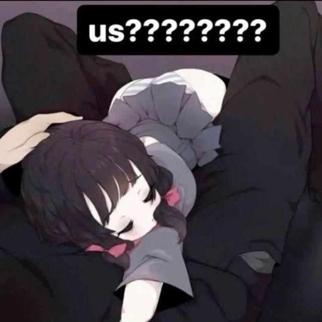 走失小狗📦
