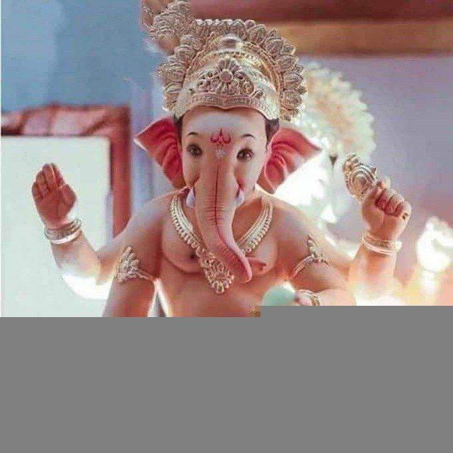 SHRI GANESH SATTS SHREE
